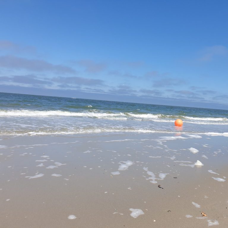 Wie das Meer: still, offen, empfangend – Tierkommunikation beginnt in Achtsamkeit
